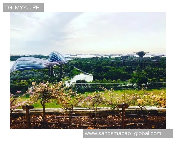 金沙娱乐城怎么样-金沙娱乐城深度体验评测-金沙娱乐城怎么样